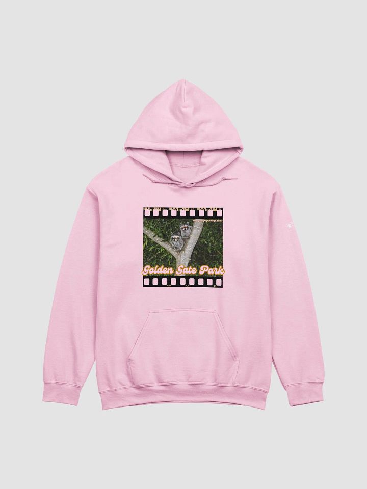 Golden Gate Park Raccoons Classic Hoodie product image (1)