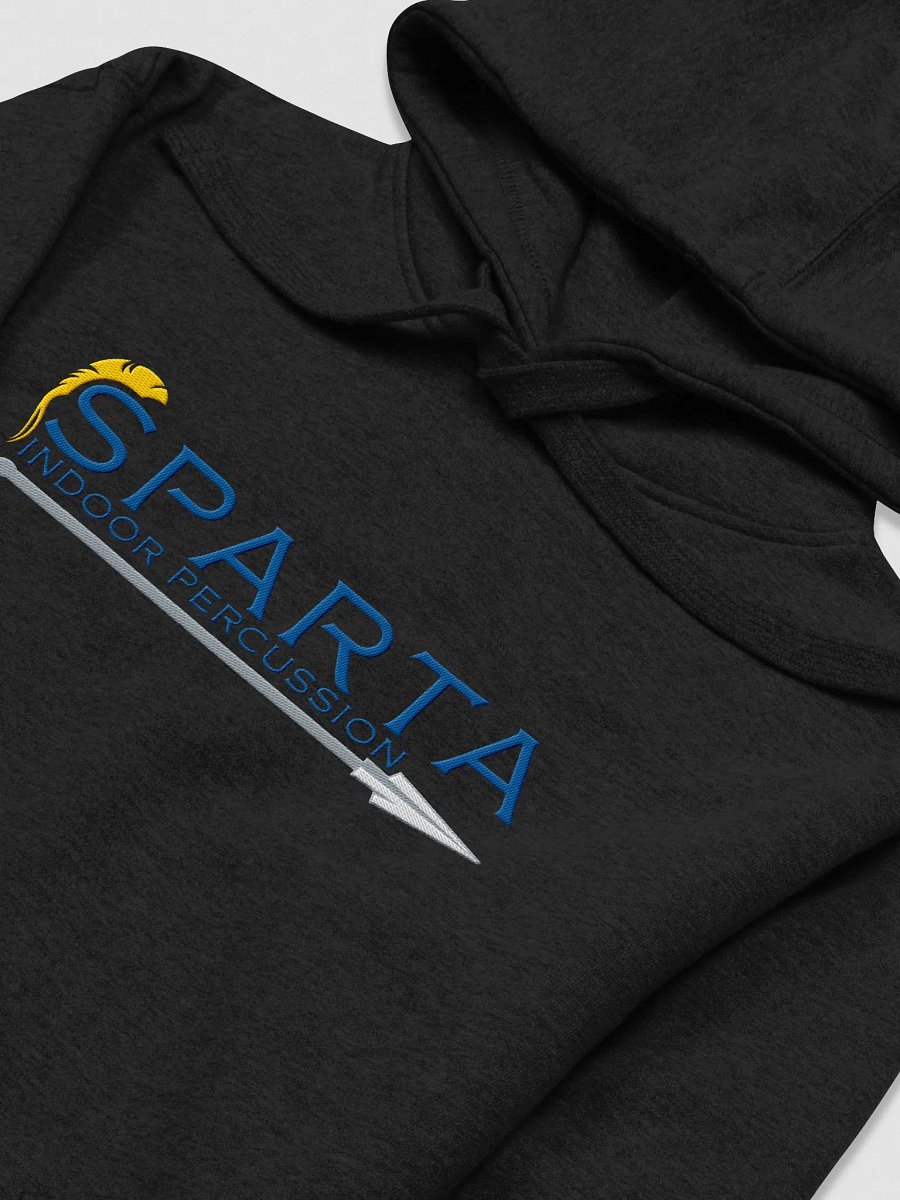 SIP Embroidered Hoodie product image (13)