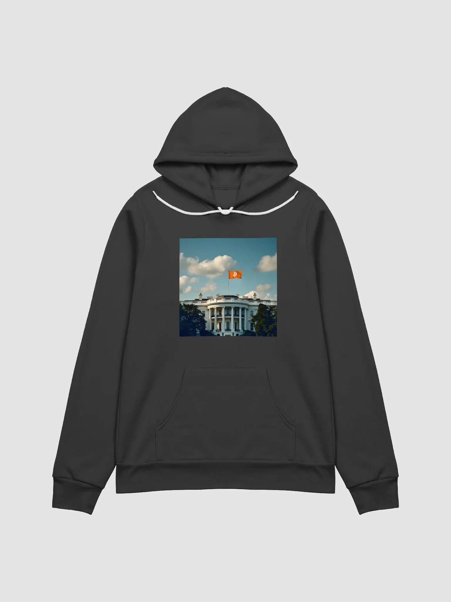 Bitcoin President Hoodie product image (4)