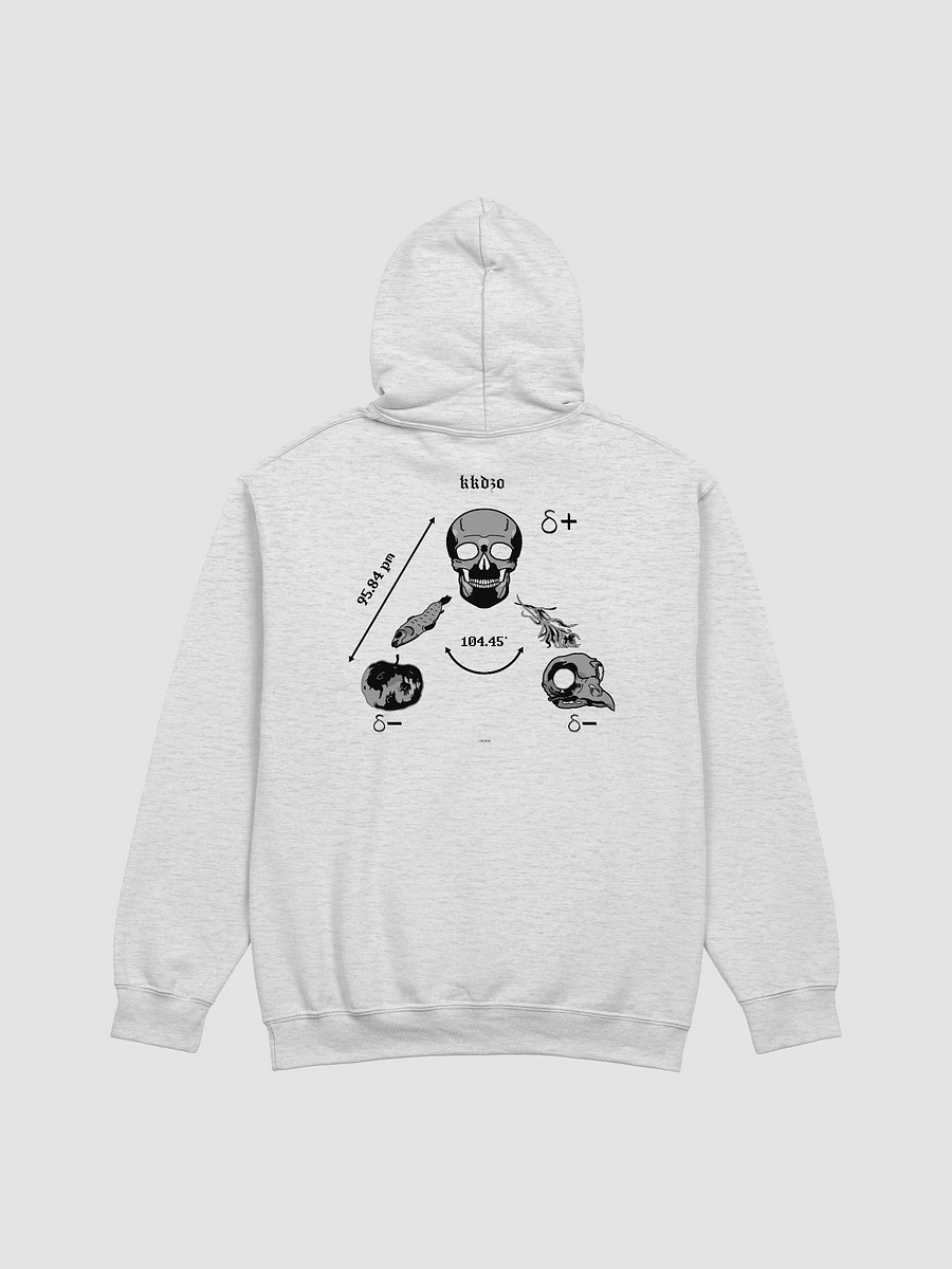 Saga Hydropolitique ( Hoodie Bright Edition ) product image (2)
