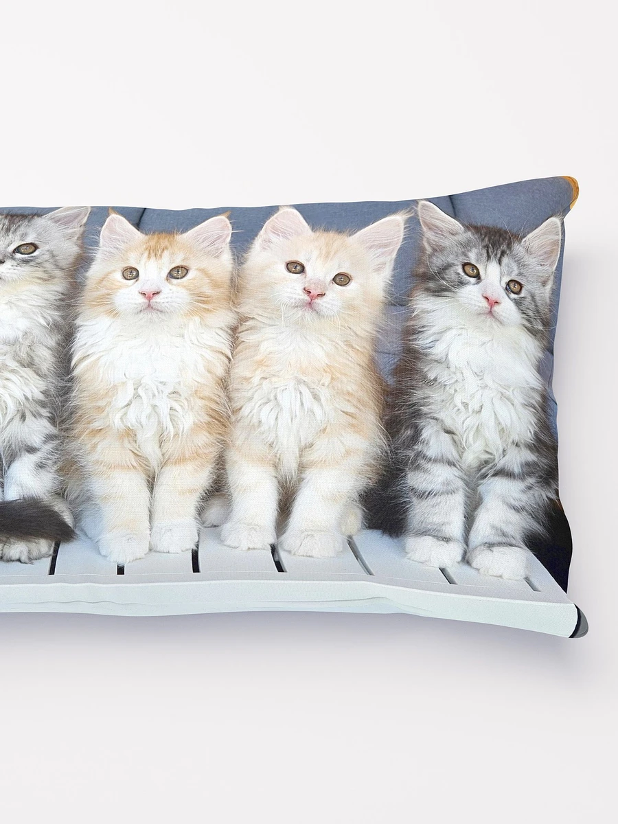 Maine Coon Kittens Pillow product image (2)