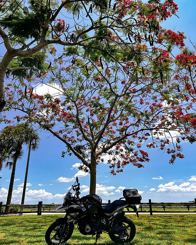 Everything works out when you trust God
.
.
.
.
.
#bmwgram #bikelife #bmwlove #bmwm #bmwmotorad #bmwrepost #instamoto #mperfo...