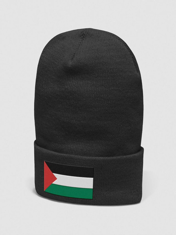 Palestine - Yupoong Cuffed Beanie product image (2)