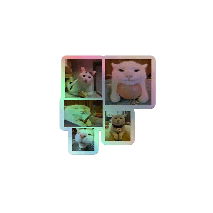 Whimsical Cat Holographic Sticker Sheet product image (1)