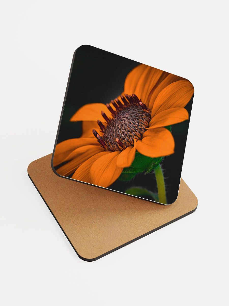 Orange You Glad Coaster product image (6)