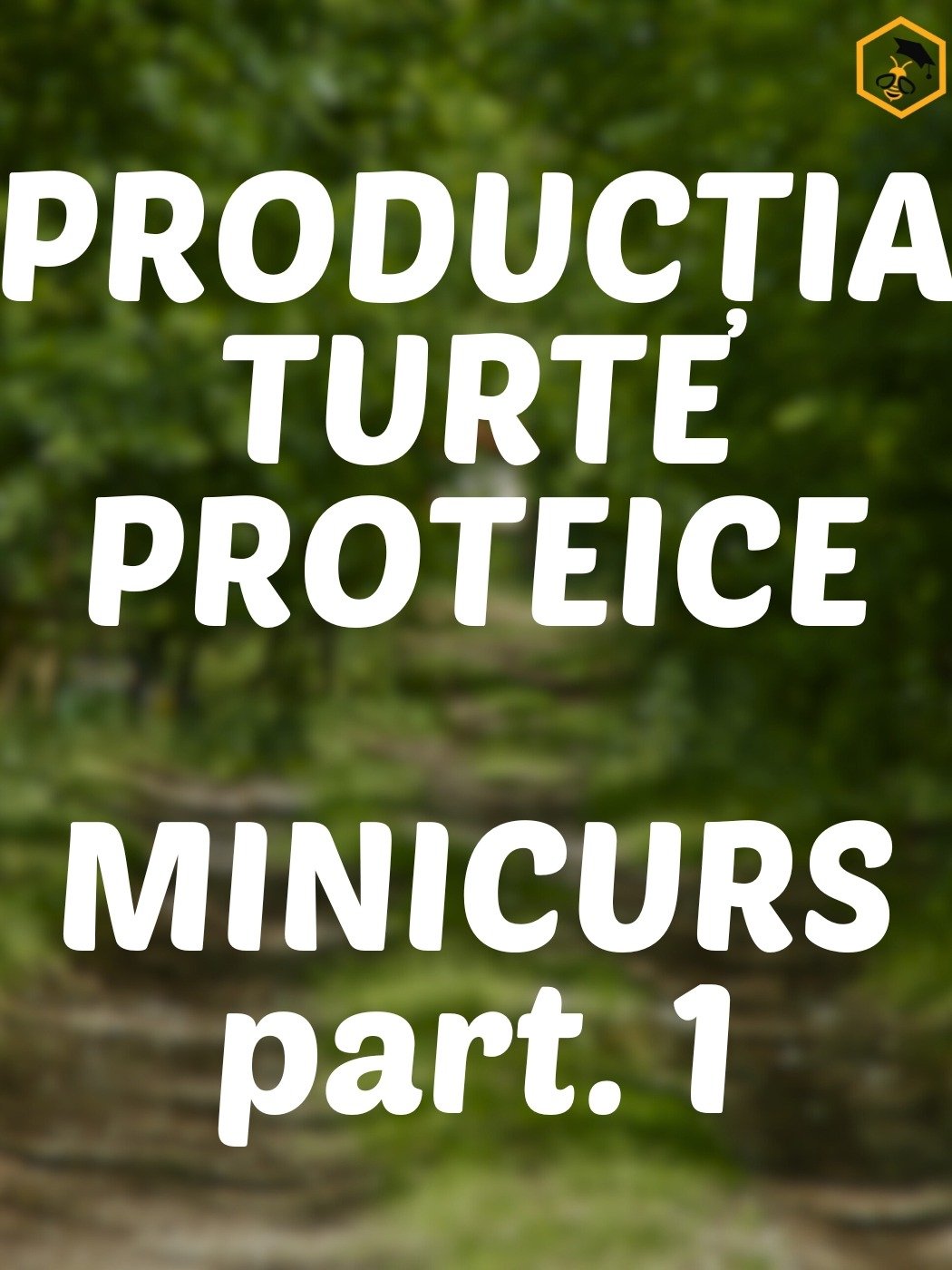 Part. 1 - Secretele Turtelor Proteice product image (1)