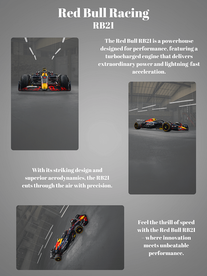 Red Bull RB21 – The 2025 Poster product image (1)