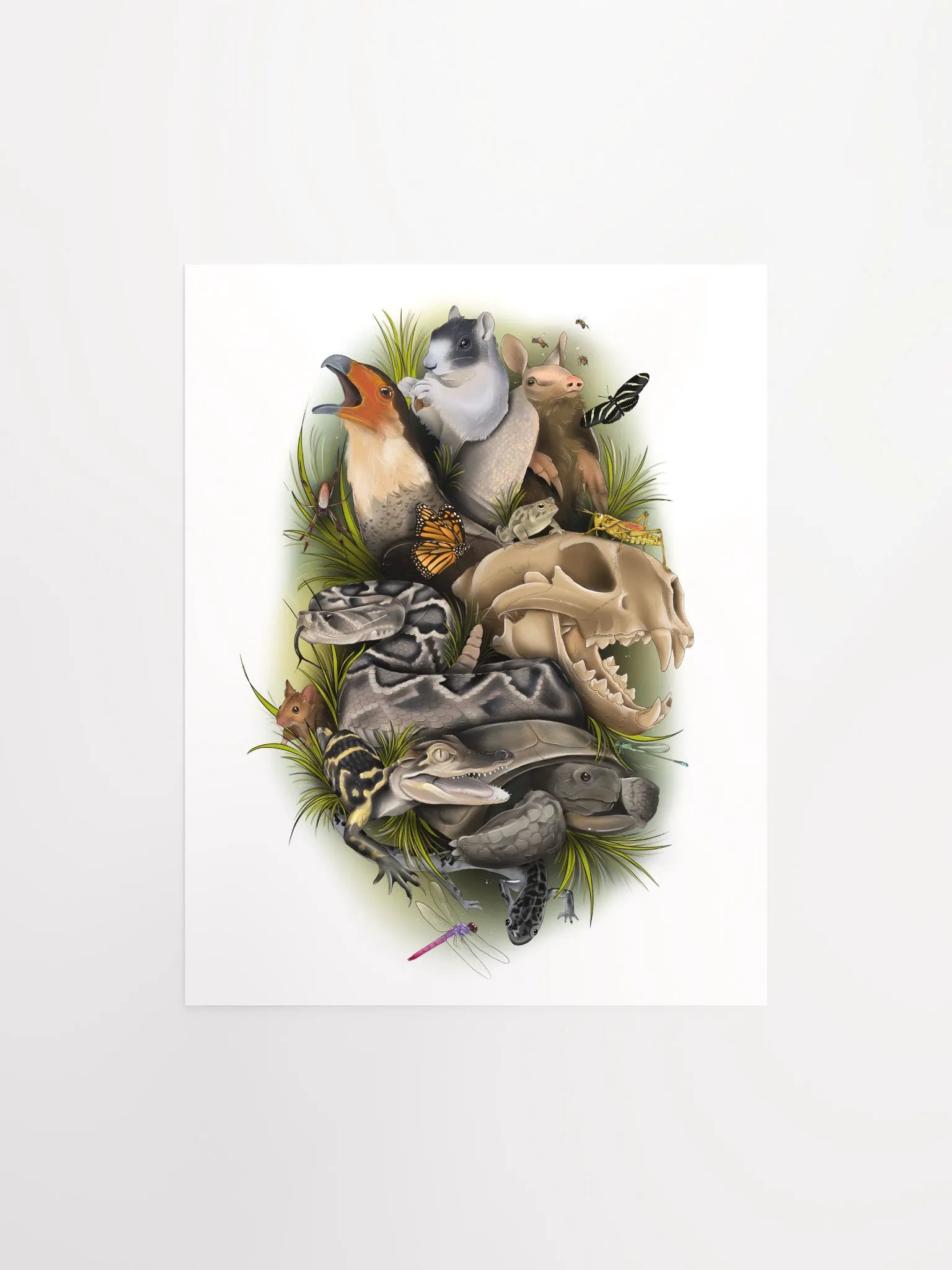 Wild Animals of Florida product image (1)