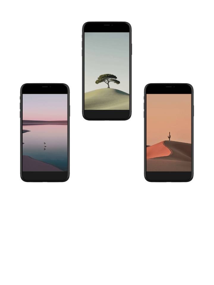 Minimalist Nature: Elegant Phone Wallpaper product image (1)