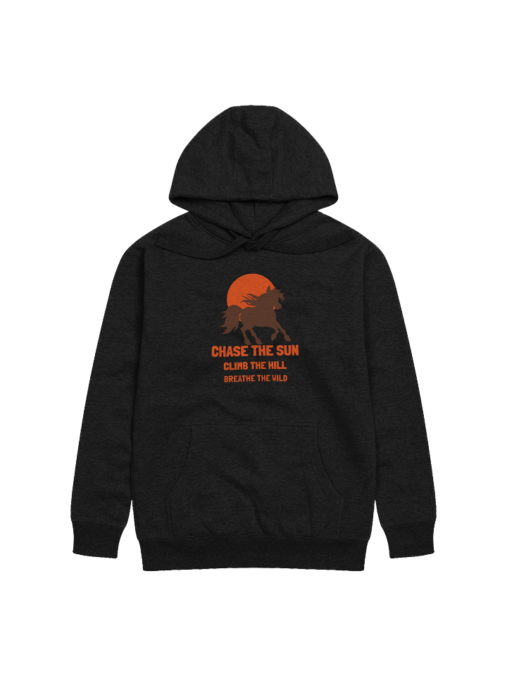 Chase the Sun Unisex Premium Hoodie product image (10)