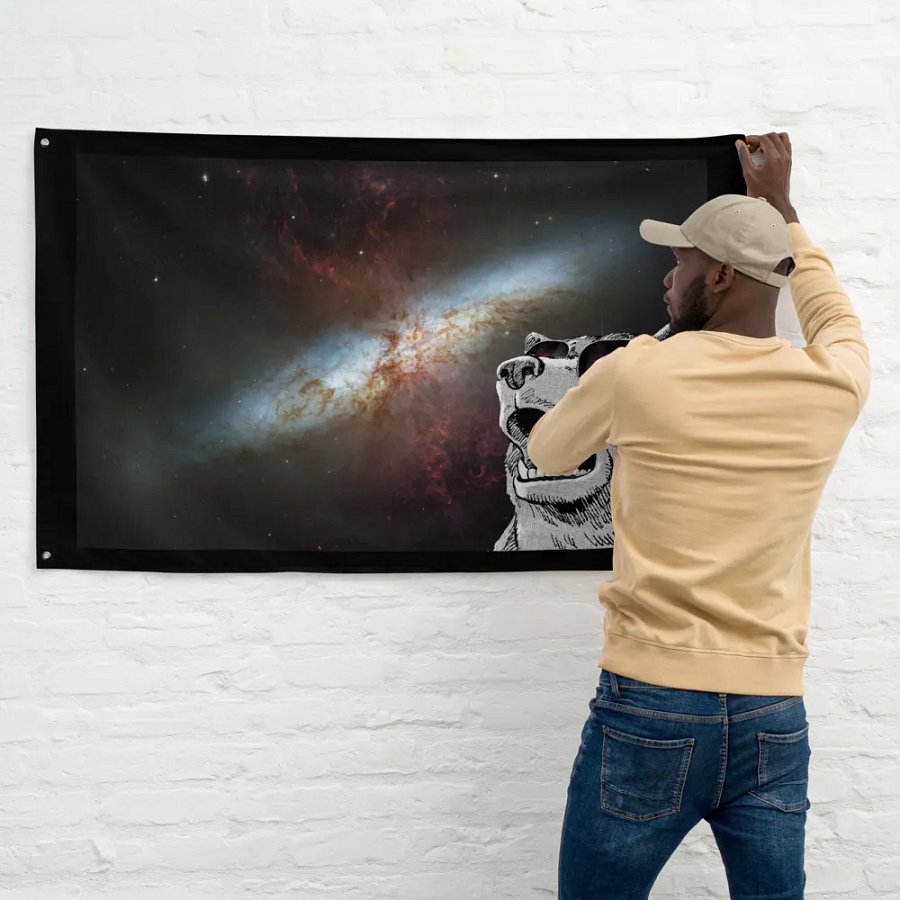 galaxy product image (11)