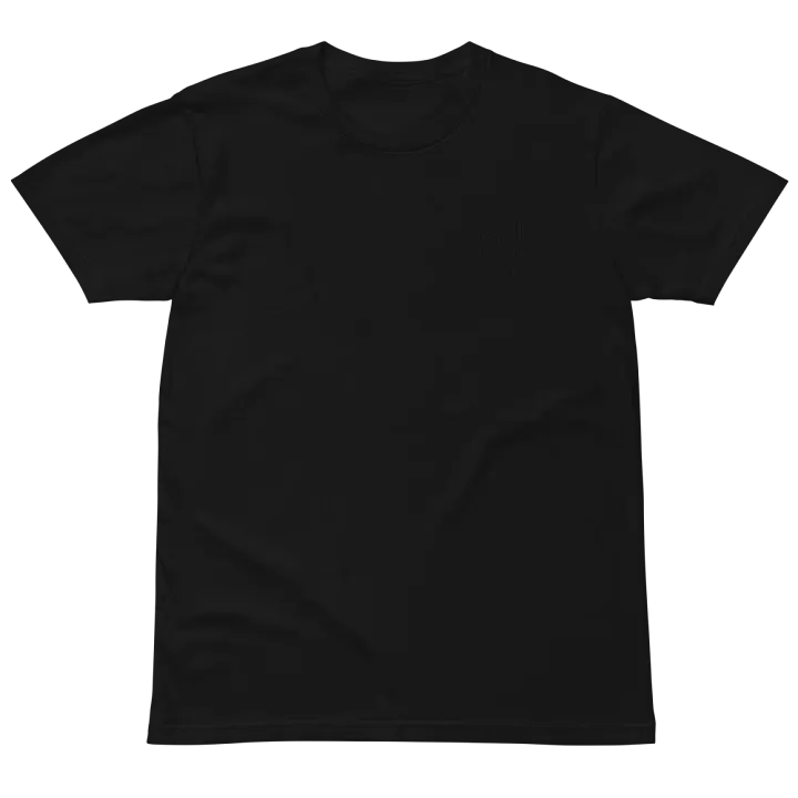 Embroided AJ T shirt product image (6)