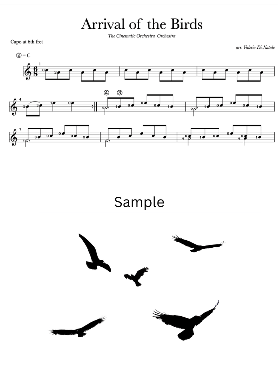 Arrival of the birds - Guitar score product image (4)