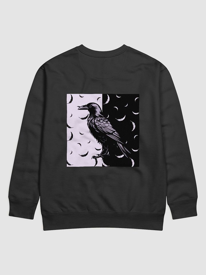 Light & Shadow Sweatshirt product image (20)
