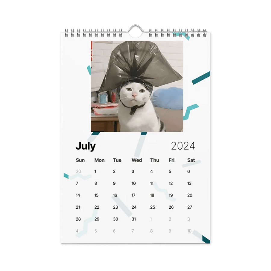 Wall Calendar (2024): Meme Cats product image (10)