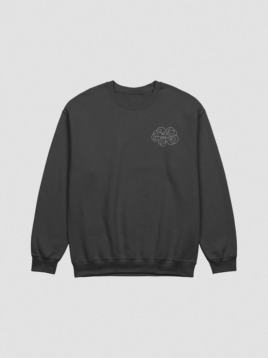 The Audacity Embroidered Sweater (Pocket Side) product image (2)