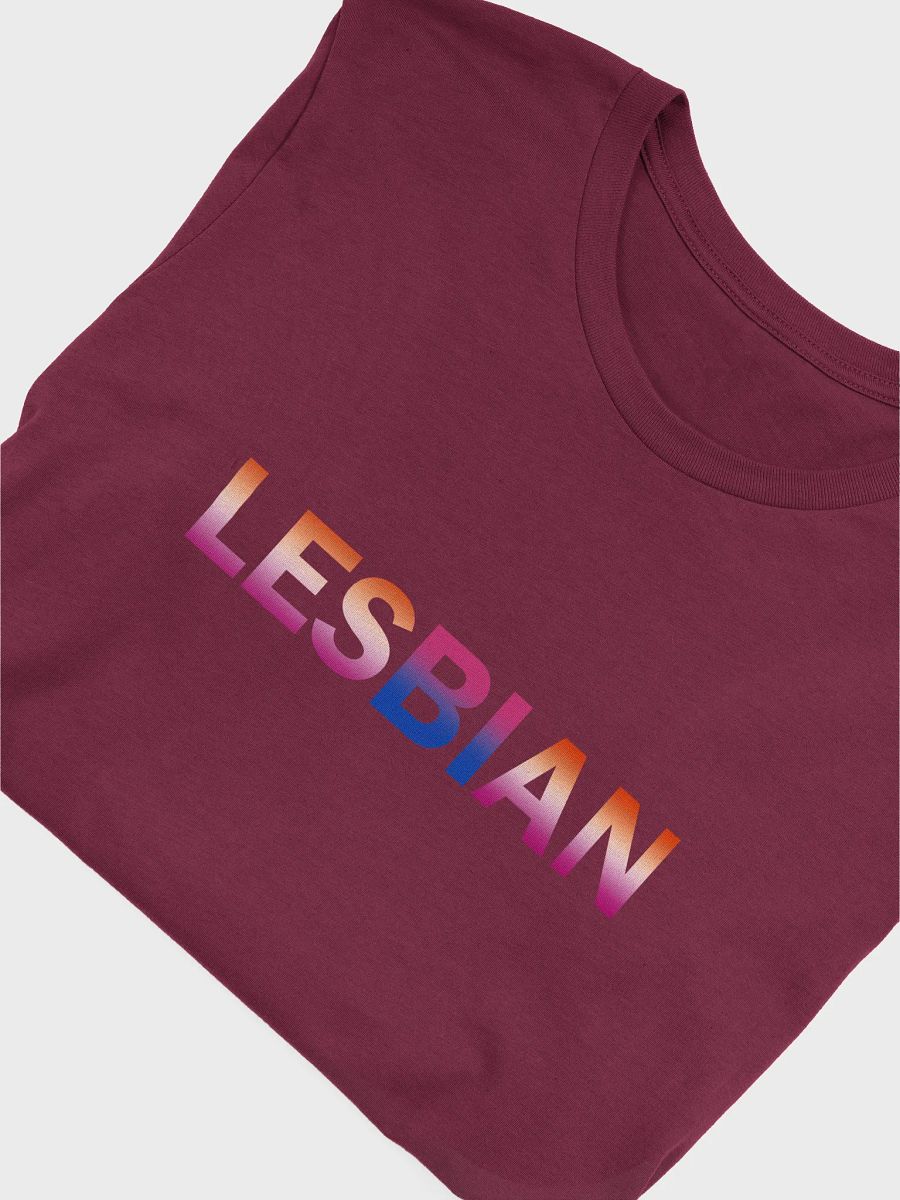 bisexual lesbian t-shirt product image (5)