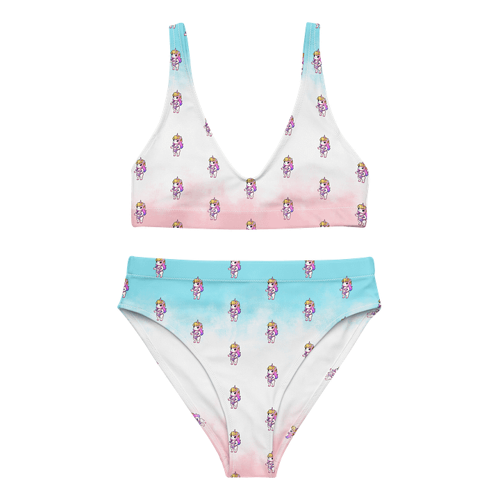 The Beach Ditch - High Waisted Bikini product image (1)