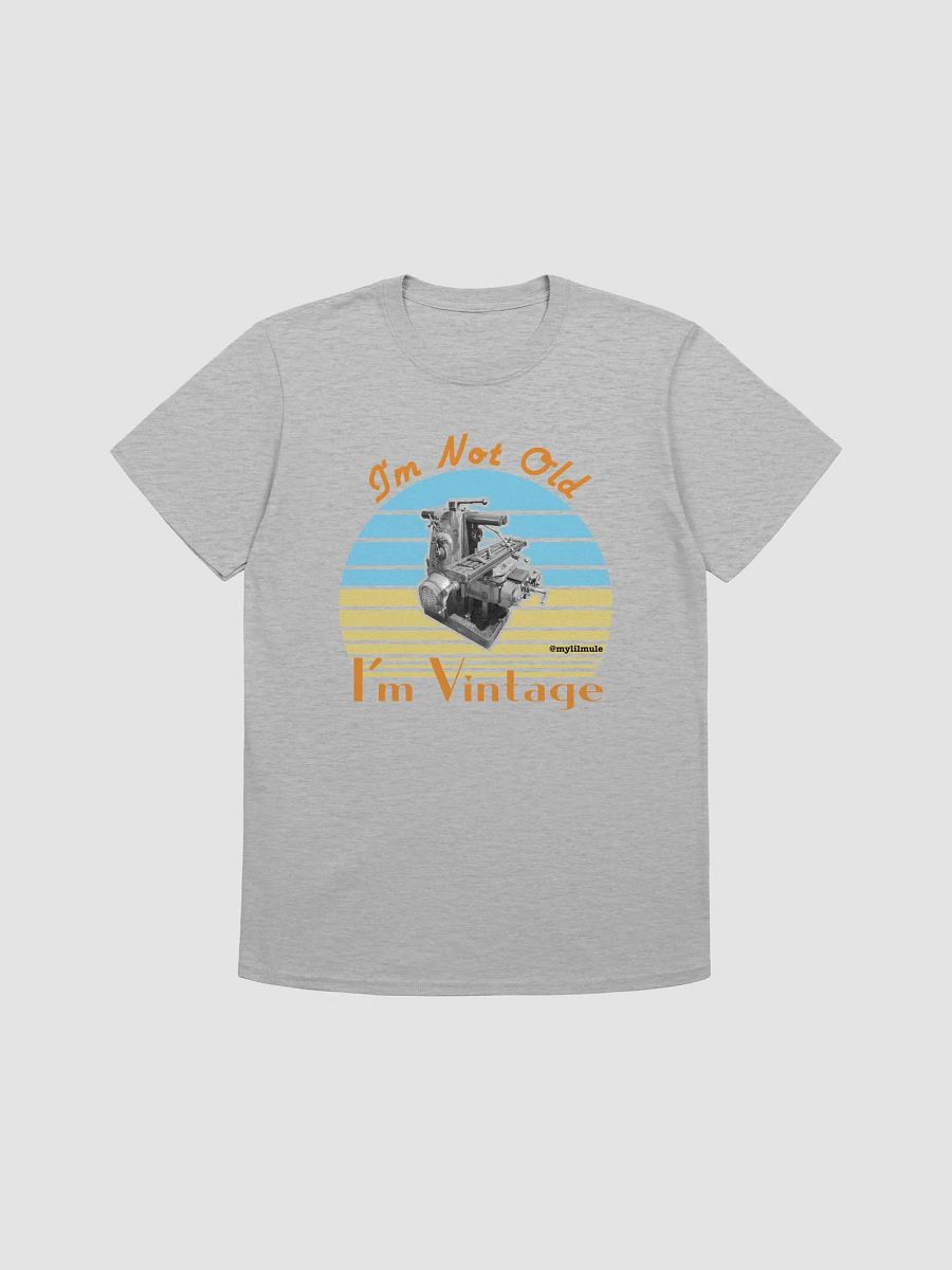 Softstyle T-Shirt (2H) product image (1)