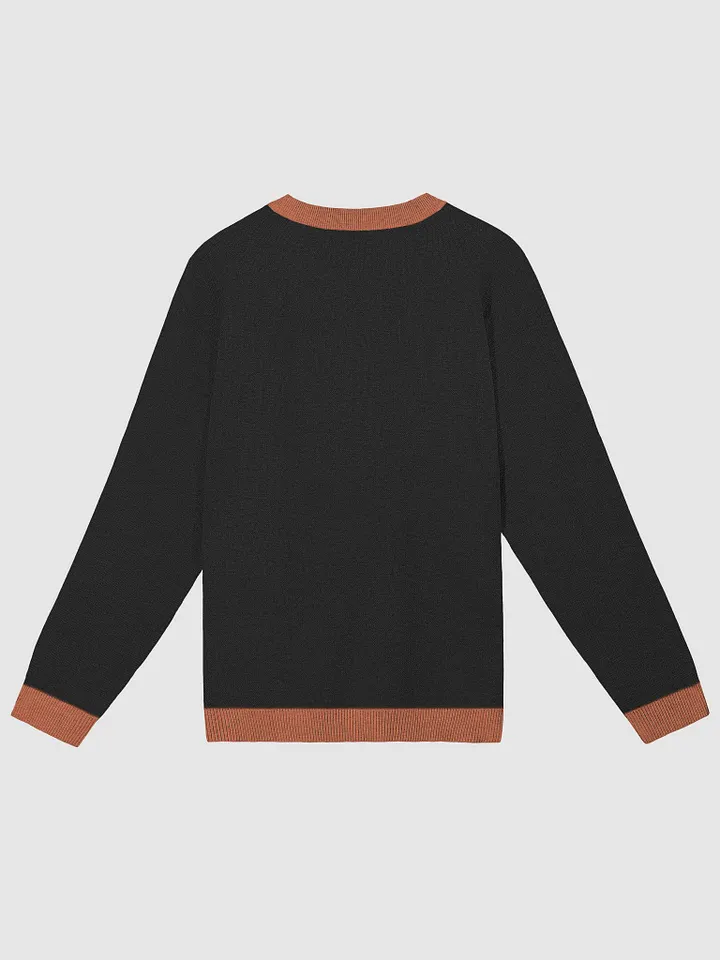 G.O.T PUMPKIN SWEATER product image (9)
