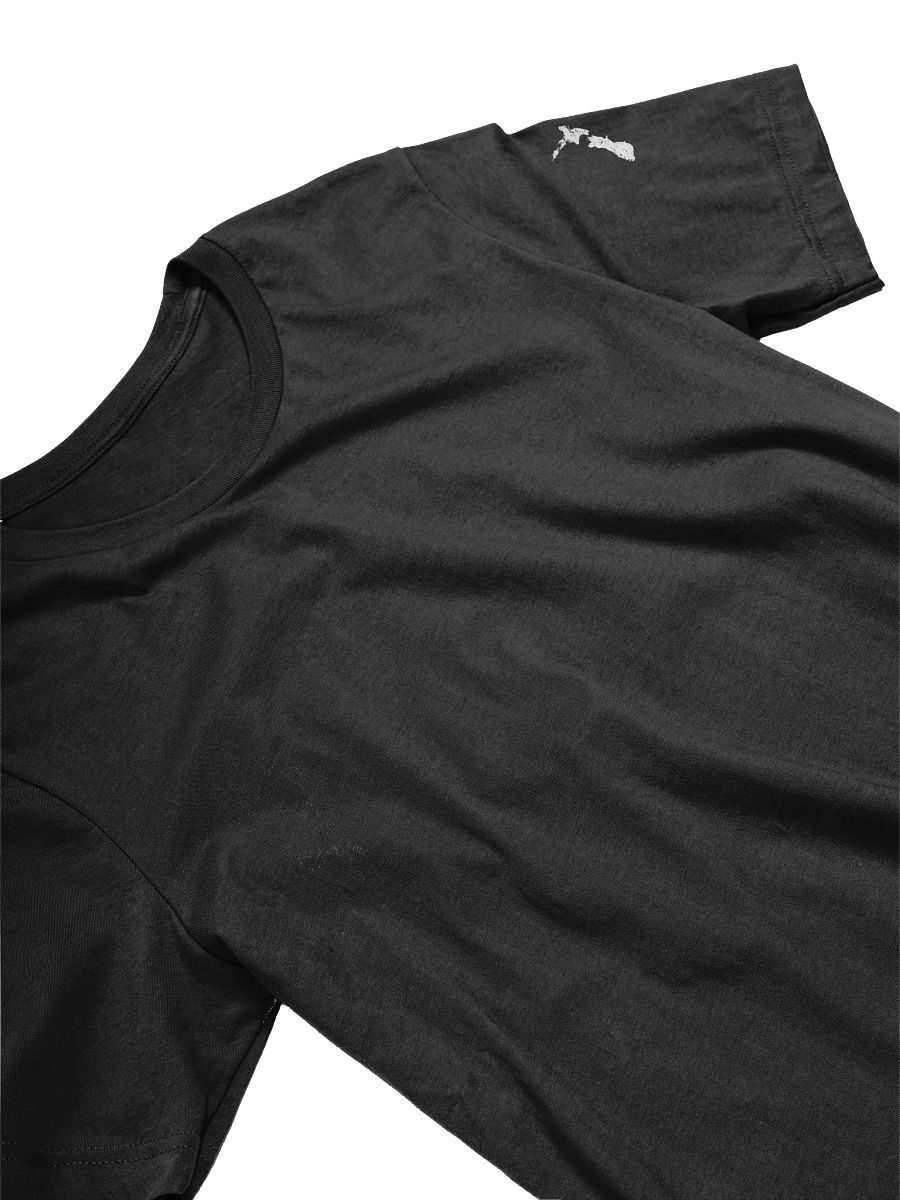 New Zealand NZ Kiwi Distresed Black Tee product image (3)