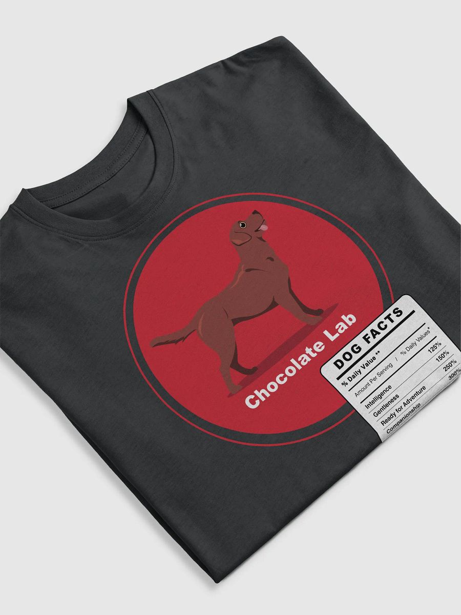 Chocolate lab dog adorable Facts product image (5)
