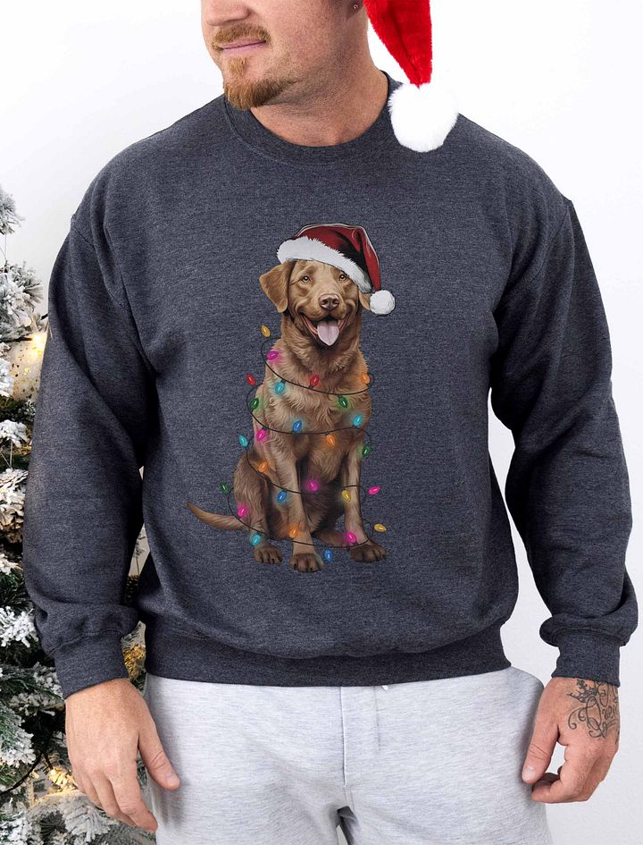 Funny Chesapeake Bay Retriever Christmas Sweatshirt for Chesapeake Bay Retriever Paw-rents product image (1)
