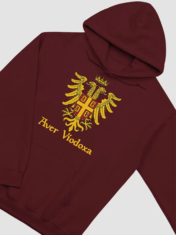 Aver Viodoxa Hoodie product image (1)