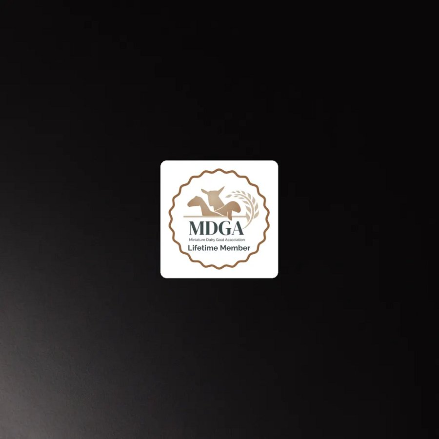 MDGA Lifetime Member Magnet product image (4)