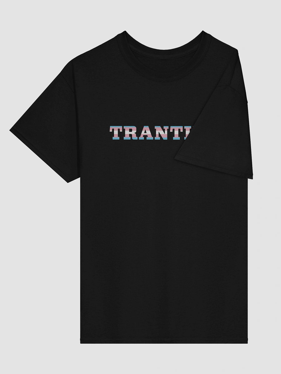 The Trantifa Tee Shirt product image (15)