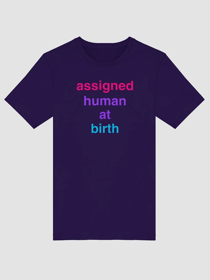 assigned human at birth androgyne t-shirt product image (1)