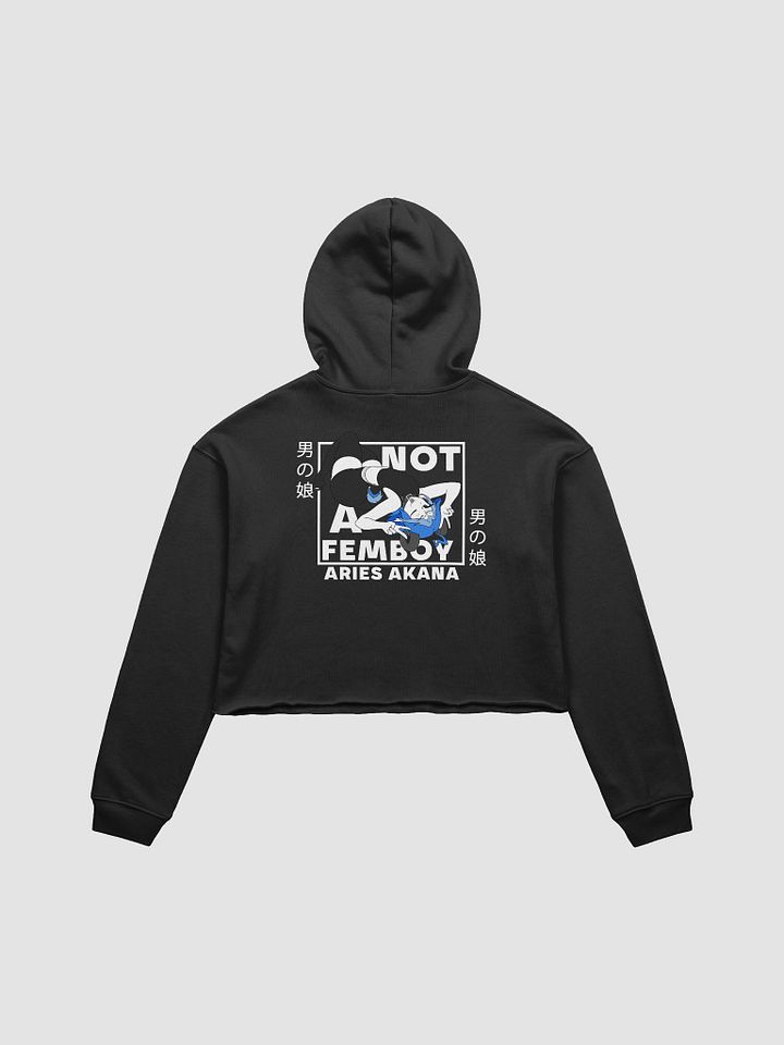 Not-A-Femboy Cropped Hoodie product image (1)