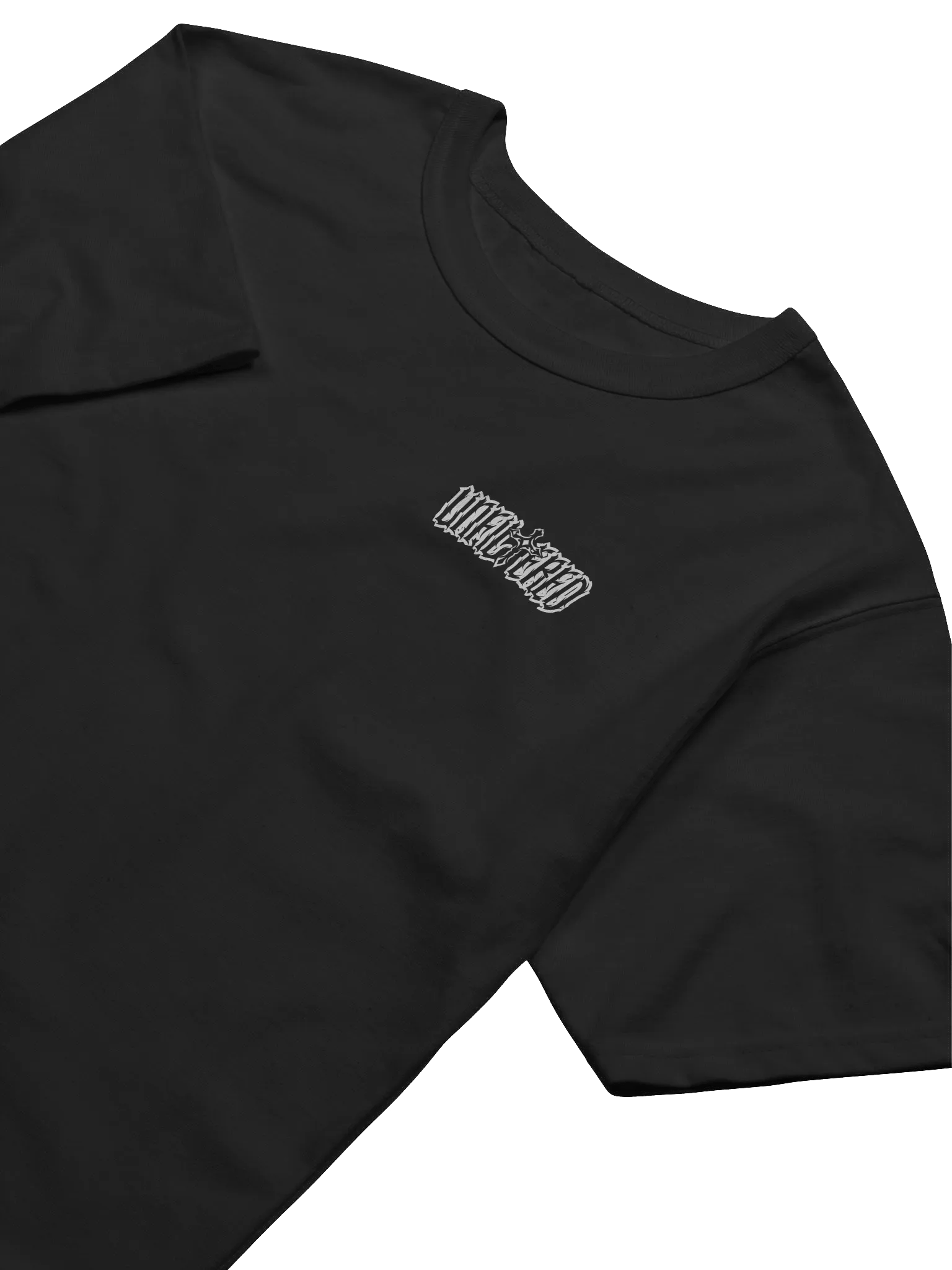 Unfiltered Champion T-Shirt product image (3)