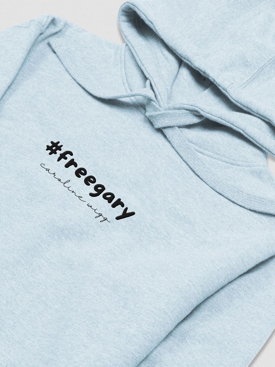 Free Gary Unisex Embroidered Hoodie - Light Colours product image (10)