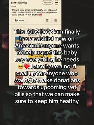 #catdistributionsystem #makethisgoviral #catlovers #catmoms #fyp 