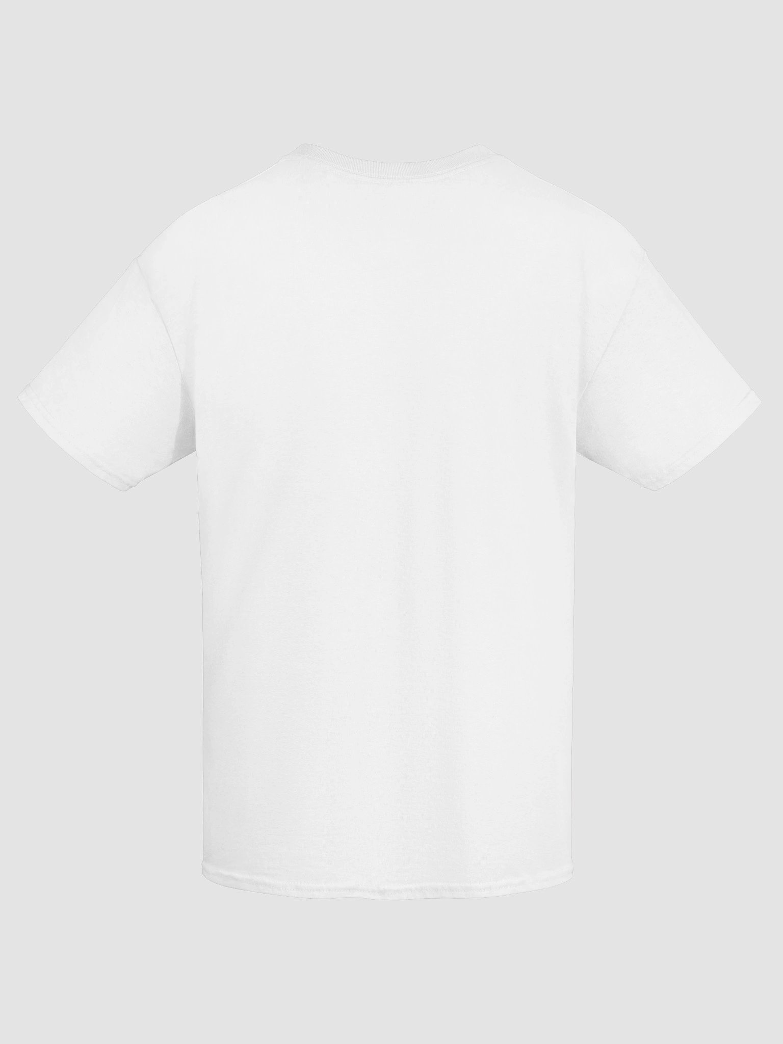 Healthy Wealthy Vegetarian & Vegan Tee product image (9)