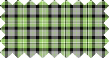 Light Green and Gray Plaid (CO02)