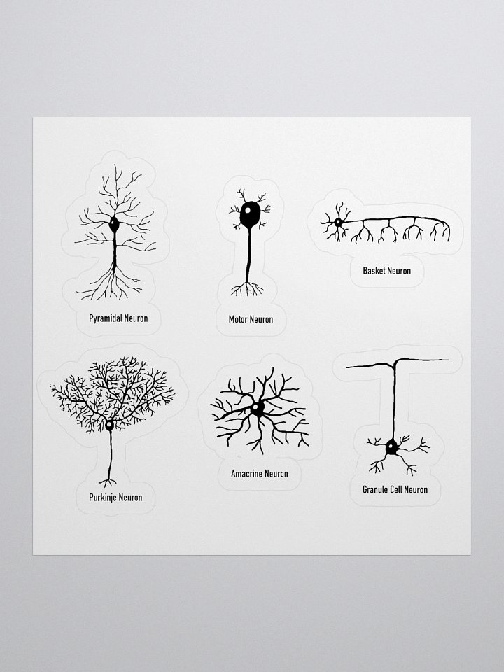 Types Of Neurons Kiss Cut Sticker product image (1)
