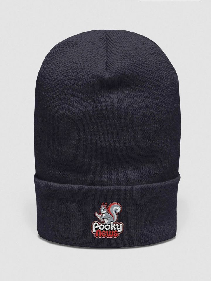 Pooky News Embroidered Beanie product image (1)