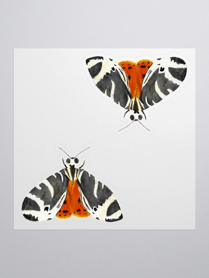 Jersey Tiger Moth Sticker (x2) product image (1)