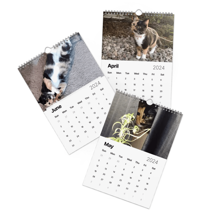 2024 Lyra Calendar product image (2)