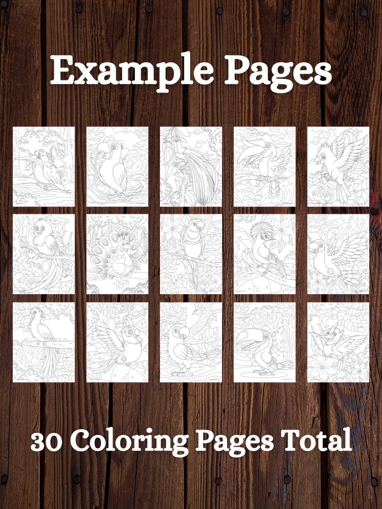 Tropical Birds Printable Coloring Pages product image (3)