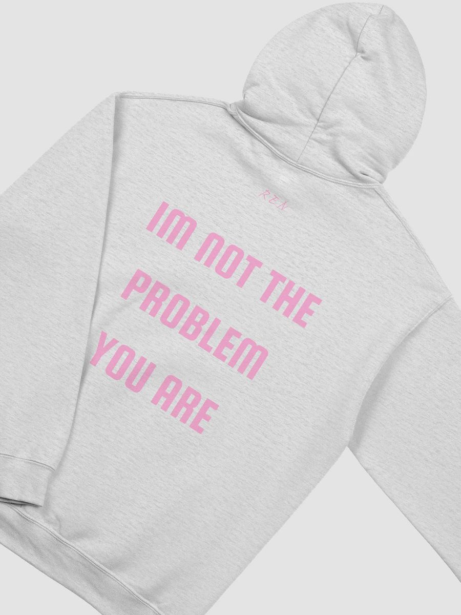 not the problem hoodie product image (3)