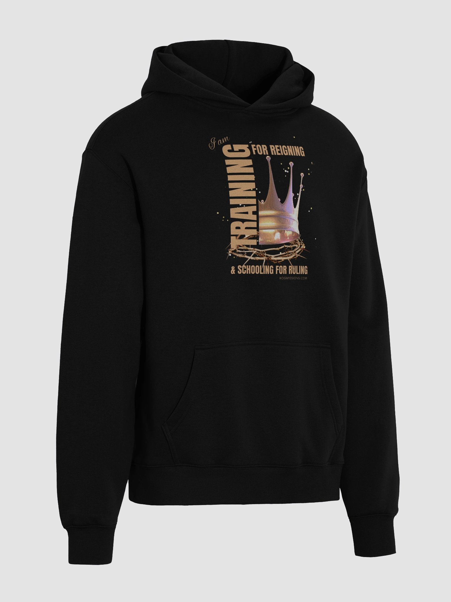 Training for Reigning Unisex Premium Oversized Hoodie product image (4)