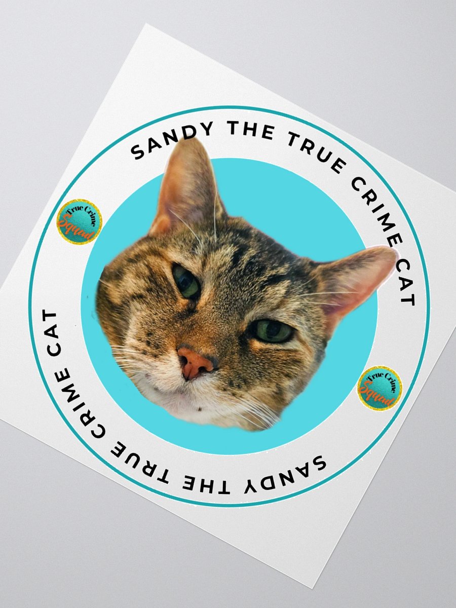 Sandy the True Crime Cat product image (2)
