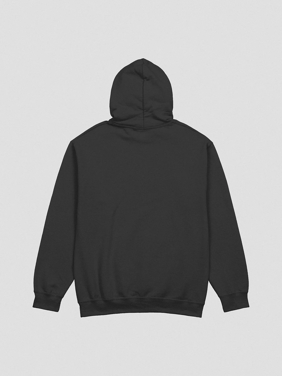 I kissed the void and it kissed back classic hoodie product image (15)