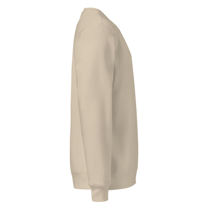 CS SweatShirt product image (2)