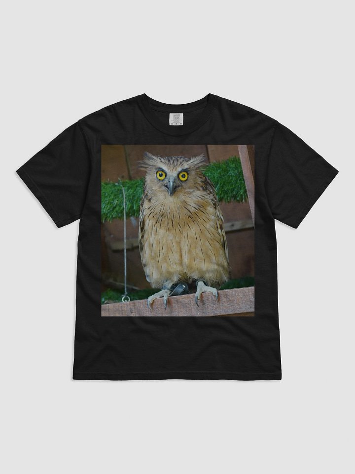 Owl Eyes Comfort Tee product image (1)