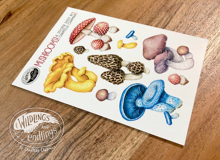 Mushrooms! Sticker Sheet product image (1)