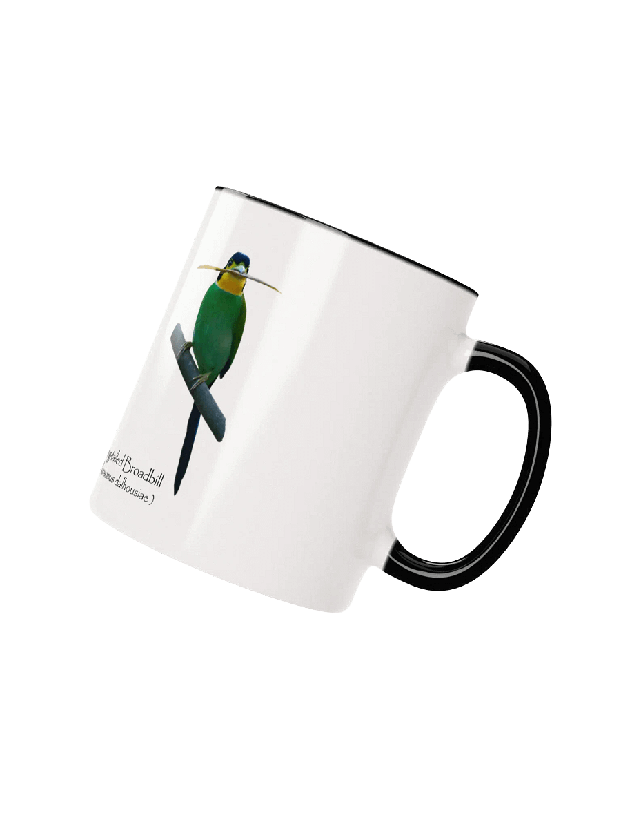 Long-tailed Broadbill mug. product image (2)